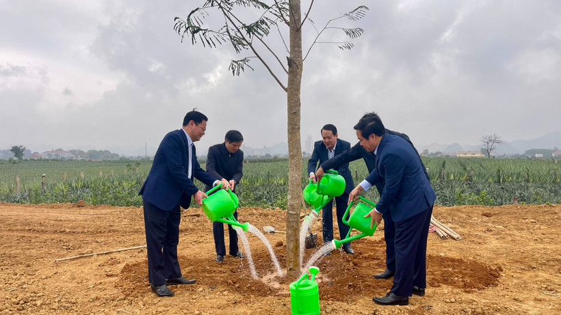 Sau lễ phát động, các đại biểu trồng cây tại thành phố Tam Điệp, tỉnh Ninh Bình.
