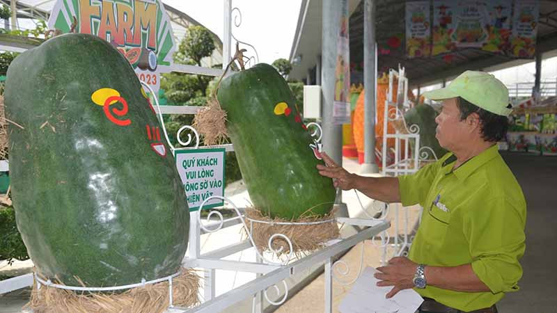 Lễ hội trái cây Nam Bộ giới thiệu nhiều trái cây độc lạ.