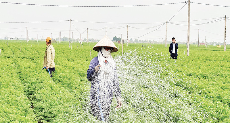 Nông dân xã Đức Chính áp dụng tưới nước công nghệ cao góp phần tăng năng suất lao động.