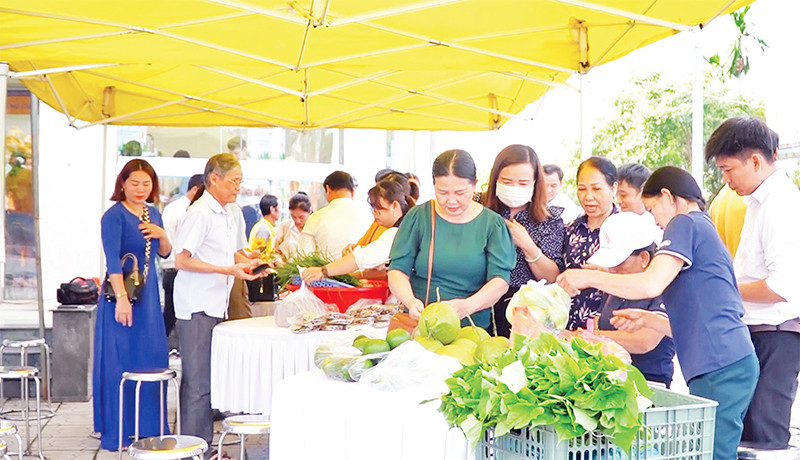 Nhiều nông sản Quảng Trị được người tiêu dùng biết đến nhờ sàn thương mại điện tử. 