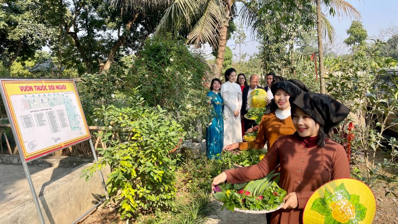 Các đại biểu tham gia trải nghiệm thiền hành hái thuốc trong "Vườn thuốc đời người Đền Thánh Nguyễn".