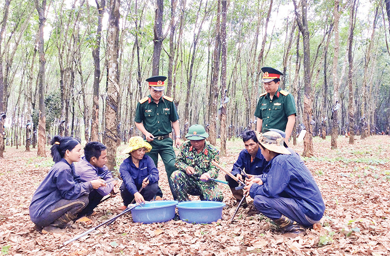 Anh Kpuih Sinh (hàng ngồi thứ tư từ trái sang), trao đổi kỹ thuật cạo mủ cao-su với công nhân.