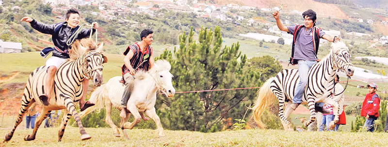 Những cuộc đua kỳ thú dưới chân núi Lang Biang.