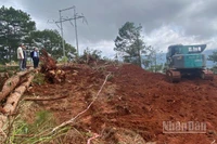 Ngành đường bộ đang căng mình khắc phục hậu quả của những cơn bão liên tiếp đổ vào nước ta trong thời gian vừa qua.