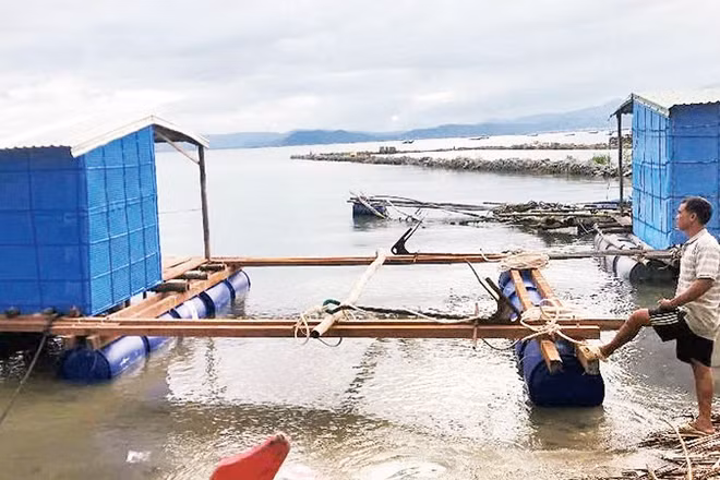 Ông Nguyễn Tấn Cường trăn trở vì chưa có vốn để làm lại lồng bè, ghe thuyền và mua con giống cho vụ mùa mới.