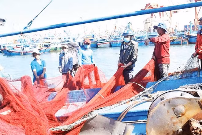 Ngư dân tất bật chuẩn bị ngư cụ ra khơi.