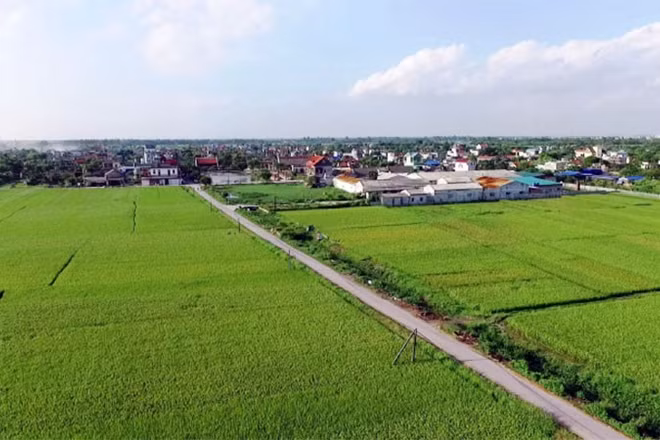 Khung cảnh bình yên tại một vùng nông thôn thuộc xã Long Hưng, tỉnh Hưng Yên.