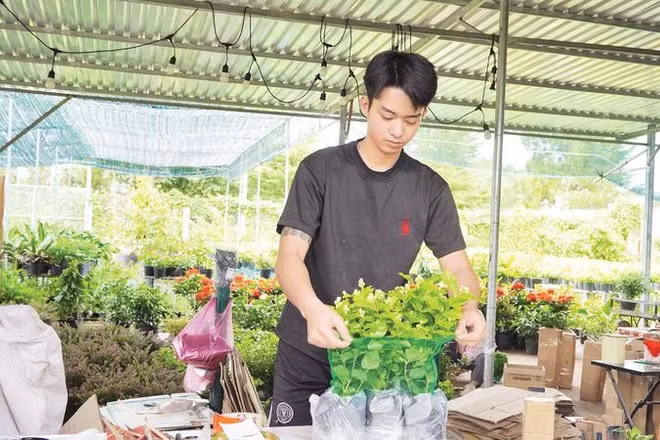 Sau phiên livestream, nhà vườn Sa Đéc gói hàng hoa kiểng giao gửi khách.