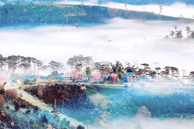 Cảnh quan thiên nhiên vùng cao nguyên Lâm Đồng là tài nguyên quý cho du lịch địa phương.
