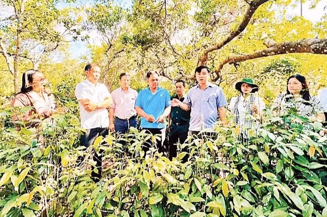 Lãnh đạo xã Bom Bo thăm vùng nguyên liệu phục vụ du lịch ẩm thực.