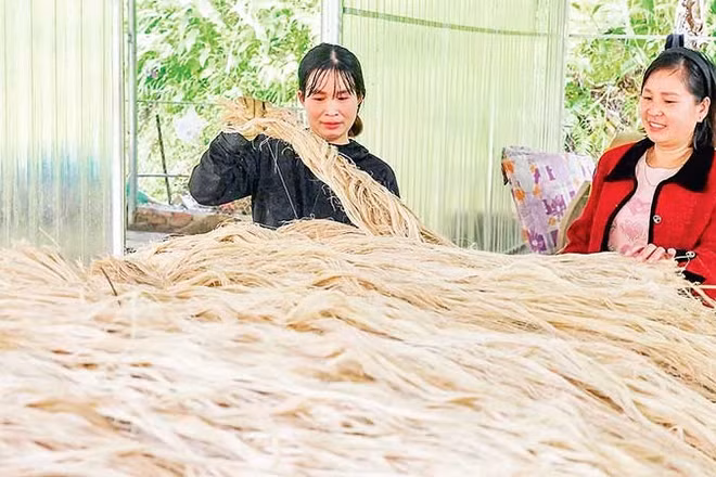 Một số sản phẩm từ sợi chuối đã được xuất khẩu sang thị trường nước ngoài, góp phần tạo đầu ra ổn định.