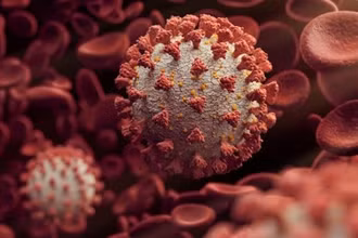 Hình ảnh virus SARS-CoV-2.