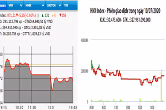 Diễn biến VN-Index và HNX-Index, phiên giao dịch ngày 10-7.