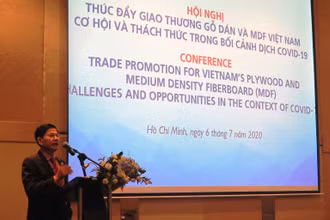 Chủ tịch Vifores Đỗ Xuân Lập trình bày ý kiến tại hội thảo.