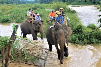 Du lịch cưỡi voi ở Trung tâm du lịch Buôn Đôn. 