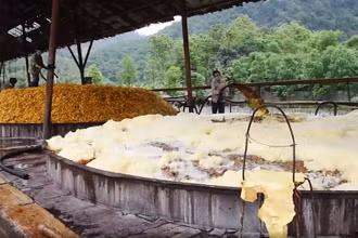 Bể âm ủ nguyên liệu giấy.
