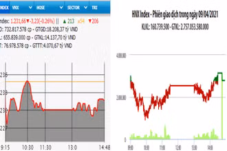 Diễn biến VN-Index và HNX-Index, phiên giao dịch ngày 9-4. 