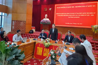 Đồng chí Nguyễn Đức Hải phát biểu ý kiến tại buổi làm việc với tỉnh Cao Bằng.