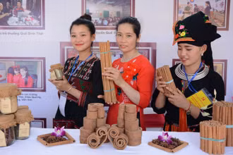 Giới thiệu sản phẩm quế xuất khẩu.
