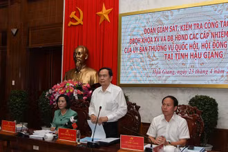 Đồng chí Trần Thanh Mẫn chỉ đạo tại buổi làm việc.