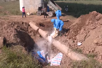 Tiêu hủy lợn mắc dịch tả lợn châu Phi tại xã Chân Lý, huyện Lý Nhân.