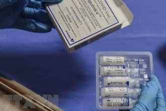 Vaccine ngừa Covid-19 Sputnik V của Nga. (Ảnh: AFP/TTXVN)