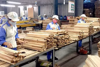 Năm 2021 tổng giá trị xuất khẩu đồ gỗ và các loại lâm sản của nước ta đạt tới 15,87 tỷ USD, vượt 20% kế hoạch đề ra.