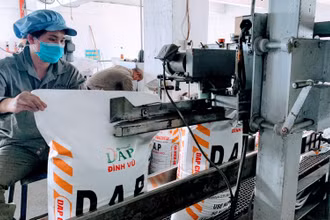 Các dây chuyền đóng gói phân bón DAP đang tấp nập là thế, giờ cũng phải ngừng hoạt động do thiếu quặng. 
