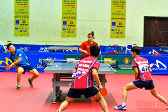 Trận chung kết nội dung đôi nam nữ tại Nhà thi đấu thể dục thể thao tỉnh Quảng Nam chiều 3/12.