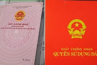 Ảnh minh họa.
