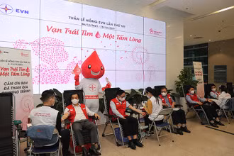 Chương trình hiến máu nhân đạo Tuần lễ hồng EVN đã được tổ chức liên tục trong 6 năm qua.