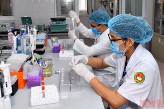 Nghiên cứu vaccine Nanocovax trong phòng thí nghiệm. (Ảnh: DUY LINH)