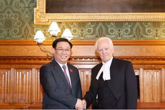 Chủ tịch Quốc hội Vương Đình Huệ và Chủ tịch Thượng viện Anh John Mcfall. (Ảnh: Doãn Tấn/TTXVN)