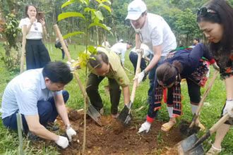 Trồng cây hưởng ứng Ngày quốc tế chống sa mạc hóa.