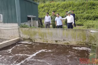 Đoàn kiểm tra của Sơn La kiểm tra tại Công ty trách nhiệm hữu hạn sản xuất và thương mại Cát Quế.