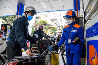 (Ảnh minh họa: THÀNH ĐẠT)