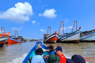 Tàu cá ở Cà Mau (Ảnh minh họa: Hữu Tùng).