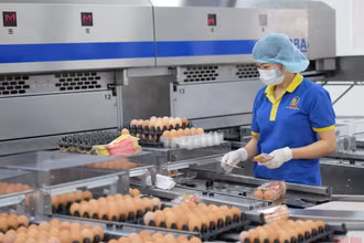 “Bão” giá nguyên liệu khiến doanh nghiệp gặp khó khăn.