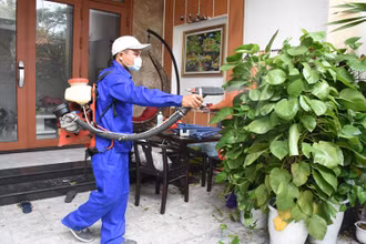 Đà Nẵng tăng cường phòng, chống bệnh sốt xuất huyết.