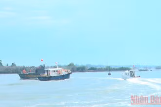 Quang cảnh buổi diễn tập tại khu vực cảng Chu Lai.