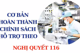 [Infographic] Cơ bản hoàn thành hỗ trợ theo Nghị quyết 116