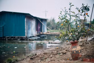 Những ngày cận Tết ở “xóm nhà phao”