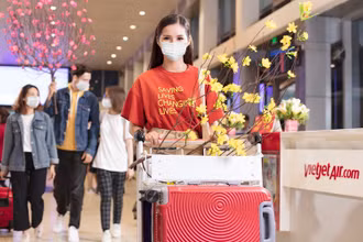 Vietjet vận chuyển mai, đào dịp Tết Nguyên đán