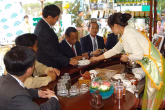 Tiệc trà.