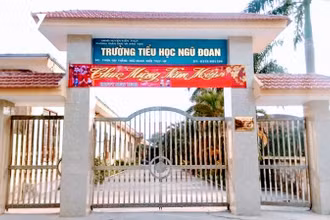 Chấm dứt hợp đồng với giáo viên Trường tiểu học Ngũ Đoan (Hải Phòng)