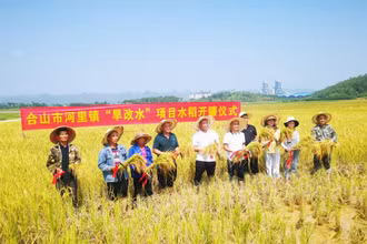 Thu hoạch lúa ở Hợp Sơn, Quảng Tây, Trung Quốc. (Ảnh: Tân Hoa Xã)