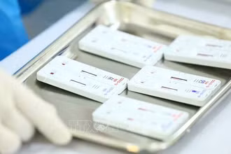 Ảnh minh họa. (Nguồn: TTXVN)