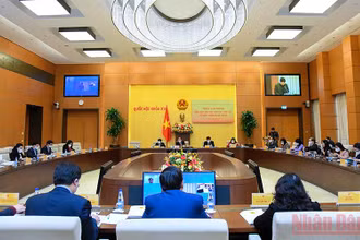 Quang cảnh phiên giải trình về tăng cường thực hiện chính sách, pháp luật về phòng, chống bạo lực trẻ em. (Ảnh: Duy Linh)