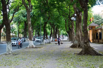Ảnh minh họa.