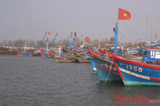 Hàng trăm tàu thuyền đã di chuyển vào khu trú ẩn.